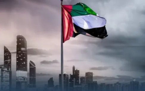 الإمارات تنفي ادعاءات كاذبة بشأن أسلحة ومتفجرات في اليمن