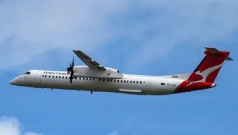 مواجهة مستحيلة في السماء.. طائر يُجبر طائرة على الهبوط مرتين ويؤخر الركاب 6 ساعات