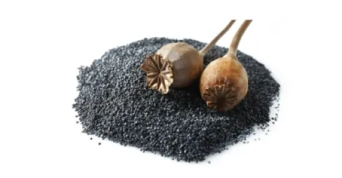 Learn About the Benefits and Risks of Poppy