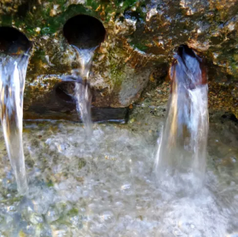 بعد أعوام الجفاف… أمطار الخير تعيد الحياة لينابيع الأردن