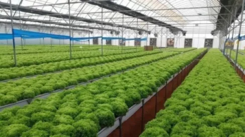 مذكرة تفاهم لدعم الاستثمار في الصناعات الزراعية بالأغوار الجنوبية