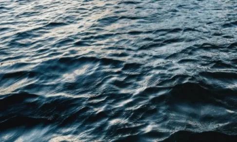 تركيا.. «صنّارة» تصطاد جثة شاب في البحر