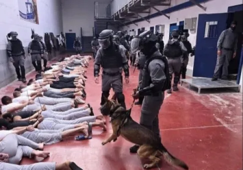 تقرير (بتسيلم) يوثق انتهاكات وتعذيبا ممنهجا بحق أسرى فلسطينيين في السجون الإسرائيلية