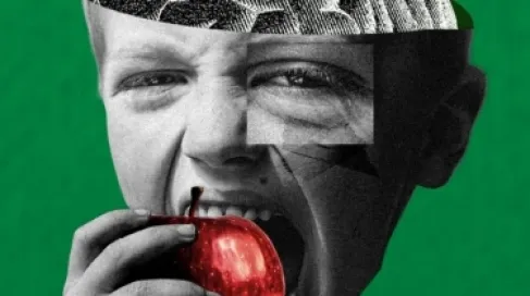 ما التأثير الوقائي لتناول الألياف على الدماغ والإدراك؟