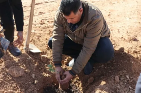 بلدية أم القطين والمكيفتة تزرع (غابة مصغرة) بشجر الخروب