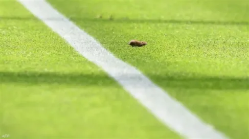 برشلونة في مرمى السخرية بسبب فأر