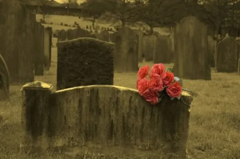 Bought Flowers for His Victim’s Grave.. Killer's Behavior Shocks Turkey