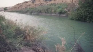 قناة الملك عبد الله