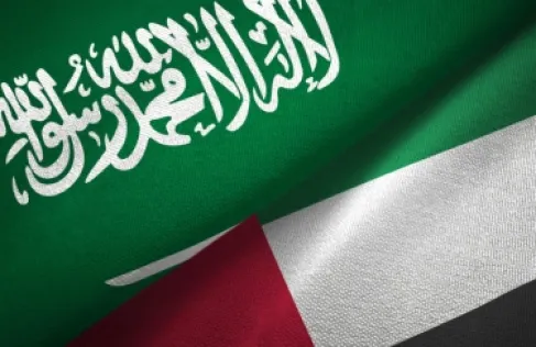 فايننشال تايمز: الإمارات تحذر ناشطين من الرد على (الانتقادات السعودية المتزايدة)