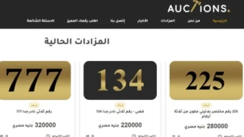 30 شركة تشارك في أول مزاد رسمي إلكتروني على الأرقام المختصرة في مصر