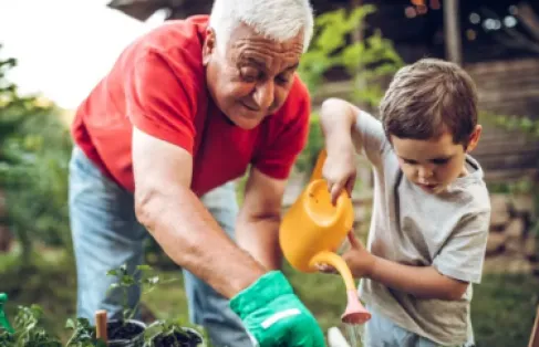 رعاية الأحفاد تُبطئ تراجع القدرات العقلية للأجداد
