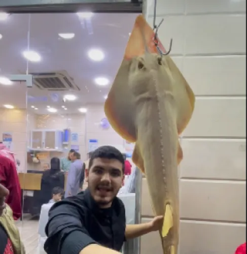 محل في العقبة يبيع سمكة نادرة للطعام !