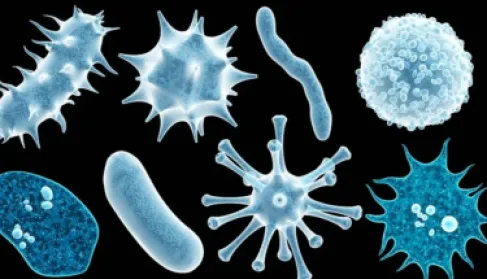 3 فيروسات تهدد الصحة العالمية تحت المجهر  في 2026