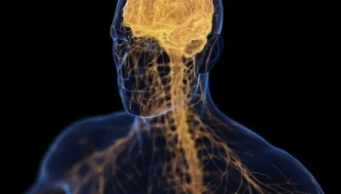 دراسة تثبت أن الاكتئاب ينخر العظام ويسبب الهشاشة