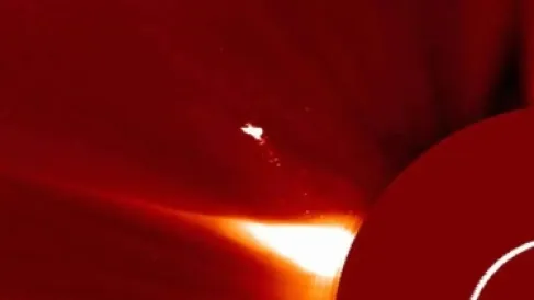 أكبر من الأرض بـ10 مرات.. كشف لغز (الطائر العملاق)