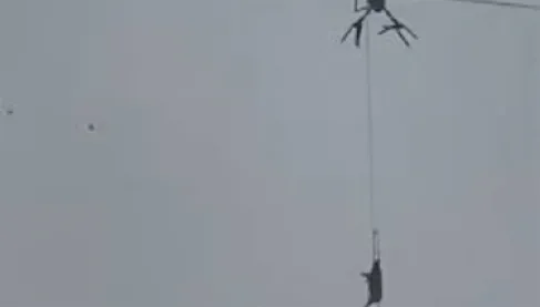 حادث غريب.. درون وخنزير طائر يغرقان آلاف الصينيين في ظلام دامس