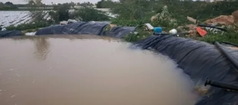 حملة أمنية كبيرة في الشونة الجنوبية لضبط مخالفات مائية