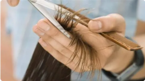 هل قصّ الشعر يجعله ينمو بشكل أسرع؟