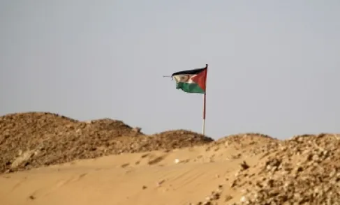 اجتماع مرتقب في مدريد لبحث قرار مجلس الأمن بشأن الحكم الذاتي في الصحراء الغربية