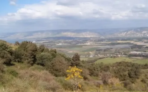 وزير الطاقة يوضح حول استملاك الأراضي في قانون الغاز