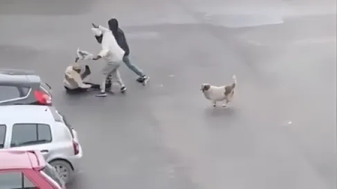 في وضح النهار.. فيديو سرقة امرأة بالشارع يصدم التونسيين