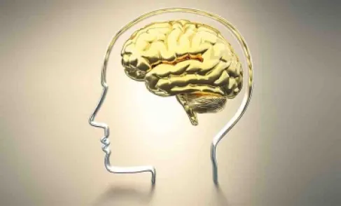 الجفاف بهذه النسبة يكفي لتعطيل دماغك.. اكتشف سر الترطيب العميق