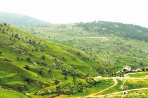 ربيع إربد يستقطب آلاف المتنزهين في الجمعة الأخيرة قبل شهر رمضان