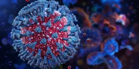 (بروتين غامض) يكشف سر حركة الأحماض الصفراوية في الجسم