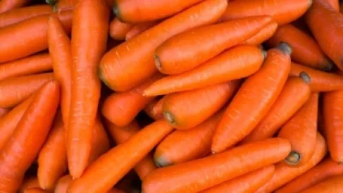 الجزر لا يقوي النظر.. قصة كذبة