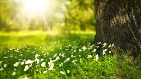 الأردن.. كتلة دافئة ترفع درجات الحرارة في الأردن 12 درجة عن معدلاتها