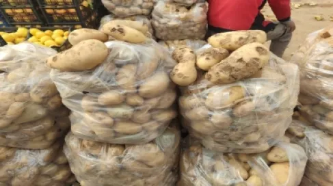 إتلاف 7 أطنان من البطاطا في السوق المركزي في إربد