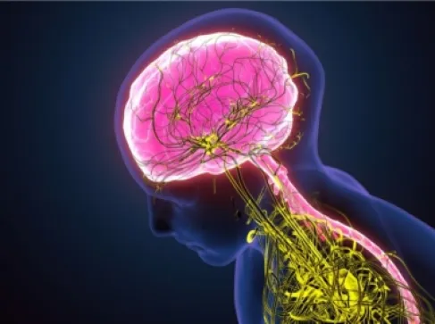 علامات تشير إلى خلل في الجهاز العصبي