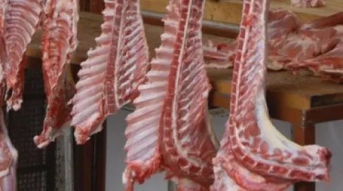 مربي المواشي: أسعار اللحوم البلدية والمستوردة في الأردن غالية