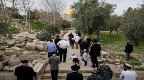 Settlers Storm Al-Aqsa Mosque Under Occupation Forces' Protection
