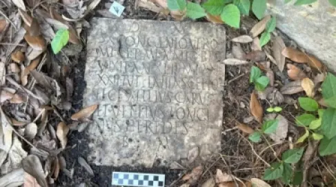 اكتشاف أثري مذهل بحديقة منزل في أمريكا