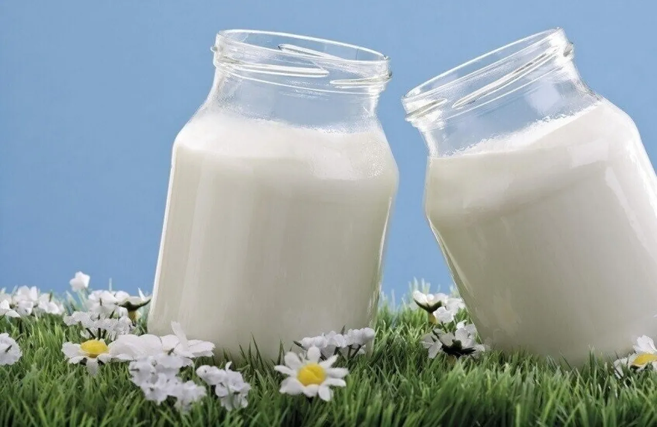 الزبادي المخمر.. فوائد أكبر لصحة العظام من باقي منتجات الألبان 