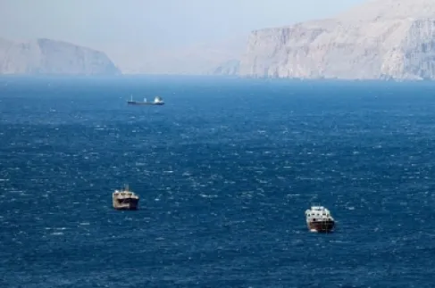 المزيد من شركات الشحن توقف مرور سفنها عبر مضيق هرمز