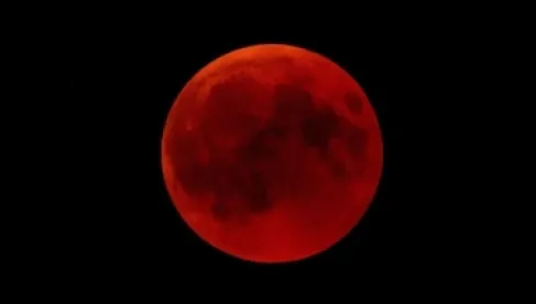 أكثر من 40% من سكان العالم يشاهدونه.. 