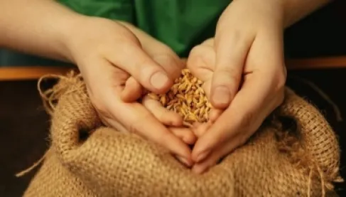 زكاة الفطر 1447 في السعودية.. المقدار المتوقع