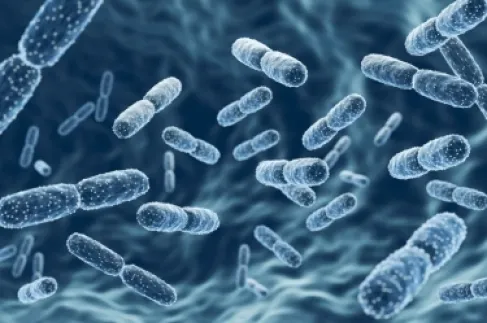 كيف يعيد صيام رمضان ترتيب مملكة البكتيريا في أمعائك؟