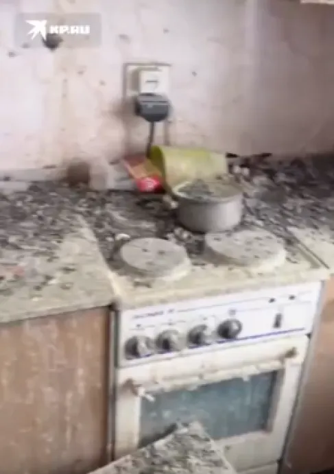 A Russian forgot his house window open for three years and pigeons occupied it