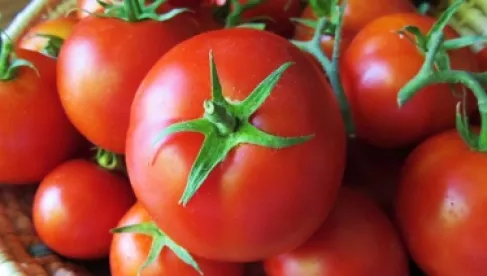 الحكومة الاردنية : الخضار والفواكه متوافرة ومشكلة البندورة والخيار بسبب الظروف الجوية