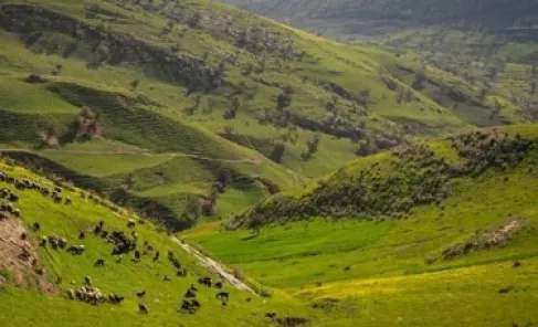 March 20.. Astronomical Spring Begins in Jordan