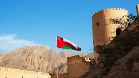 Oman Announces Killing of Two Expatriates Following the Fall of Two Drones in Sohar Governorate