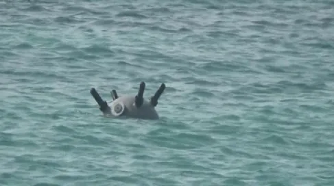Sea Mines... An Old New Weapon to Disrupt Navigation in the Strait of Hormuz