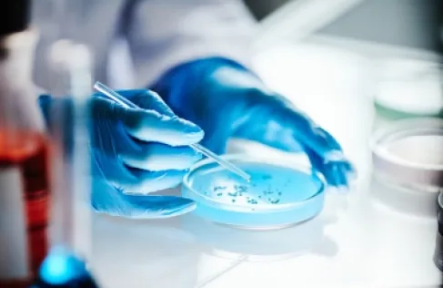 ثورة في فهم العقم.. اكتشاف آلية غير متوقعة تتحكم في البلوغ والخصوبة