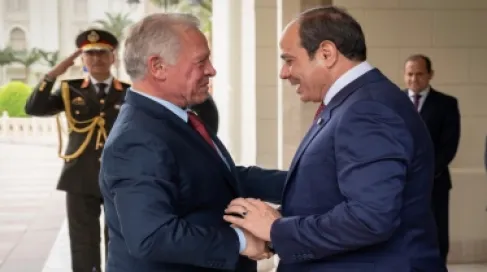 The King and el-Sisi Affirm the Necessity of Intensifying Joint Arab Efforts to Face Challenges