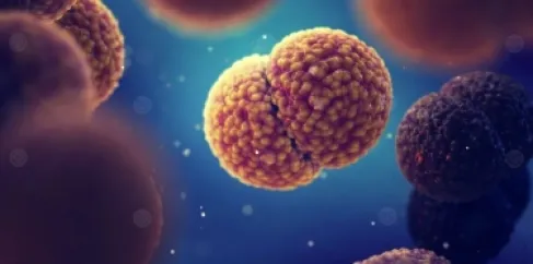 استنفار صحي في بريطانيا بعد تفشي التهاب السحايا بين الشباب