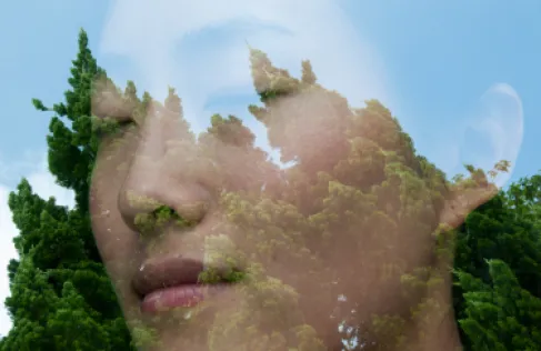 What Happens to Your Brain in Nature?