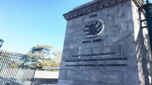 World Trade Organization to discuss in Cameroon suspending tariffs on e-commerce